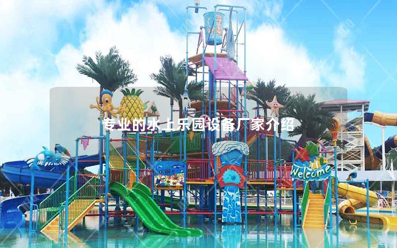 專業(yè)的水上樂園設備廠家介紹